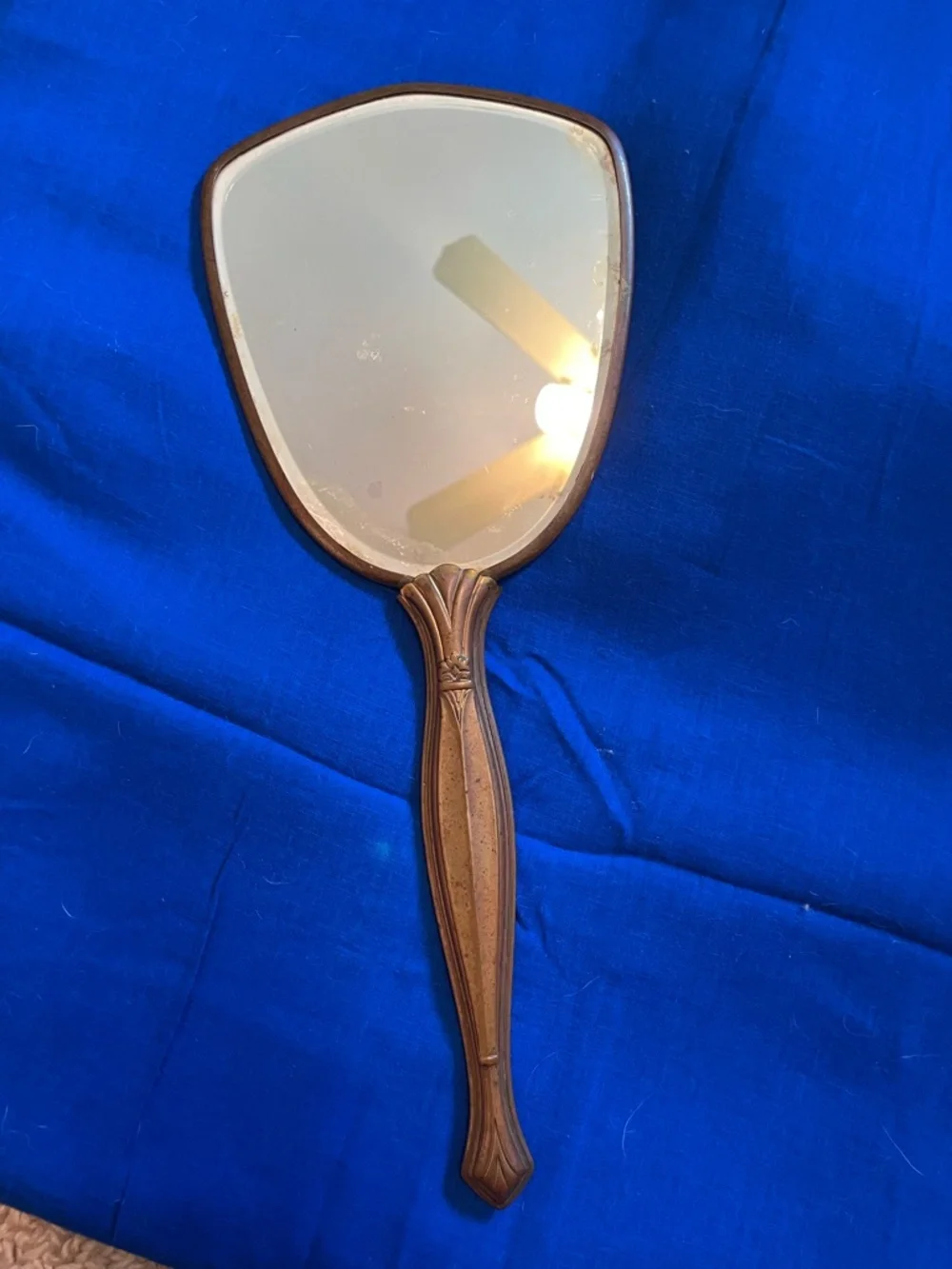 Vintage dried leaves handheld mirror